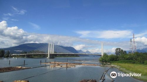 Pitt River Bridge