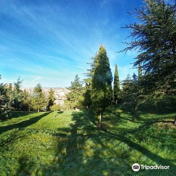 Castillo Park