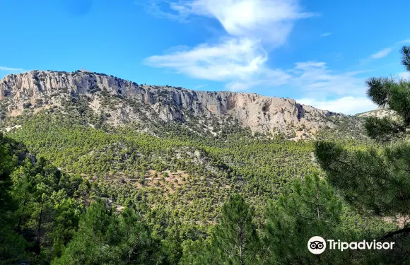 阿拉馬穆爾西亞