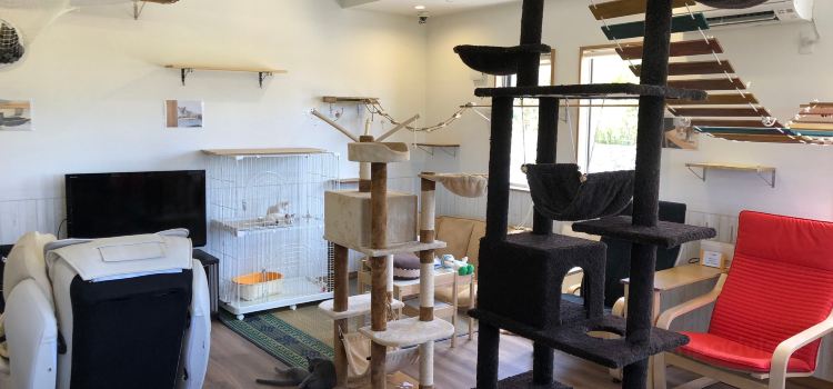 Catcafe Chura-neko