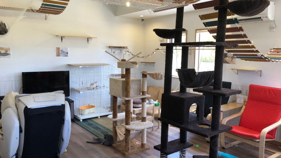 Cat Cafe Churaneko