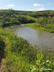 Wascana Trails