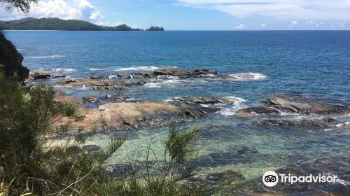 Tip of Borneo