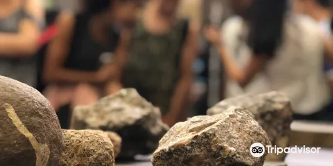 Museu de Arqueologia e Paleontologia da UFPI