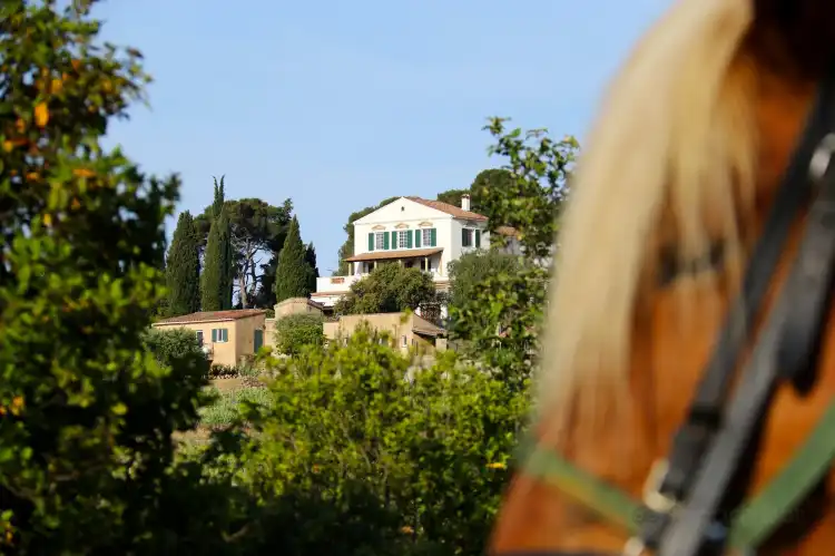 Hotels in Le Pradet