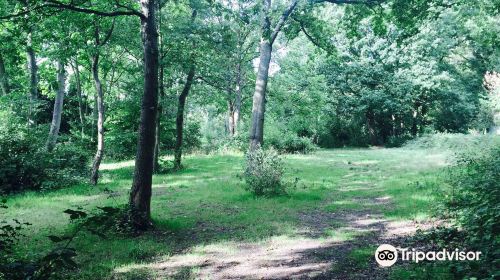 The Wood and Richard Jefferies Bird Sanctuary