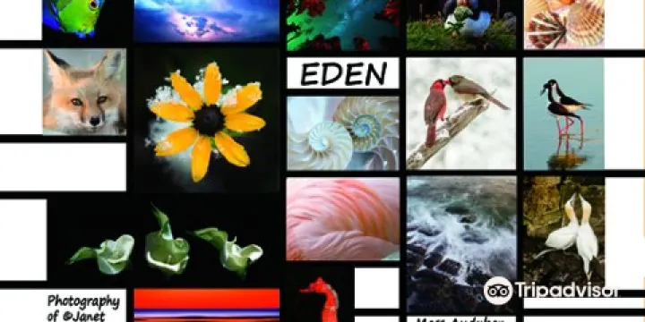 Mass Audubon's Habitat Education Center and Wildlife Sanctuary