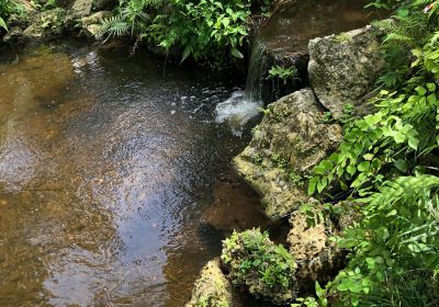 Deerfield Beach Arboretum