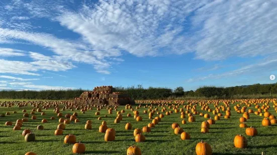 Monk Park Farm Visitor Attraction