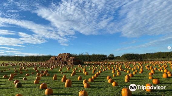 Monk Park Farm Visitor Attraction