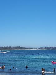 The Boneyard Beach