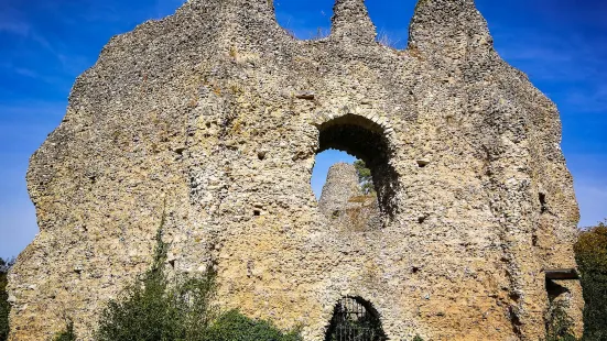 Odiham castle