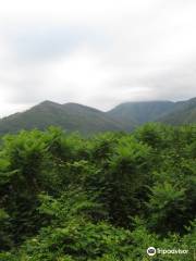 Carlos Campbell Overlook