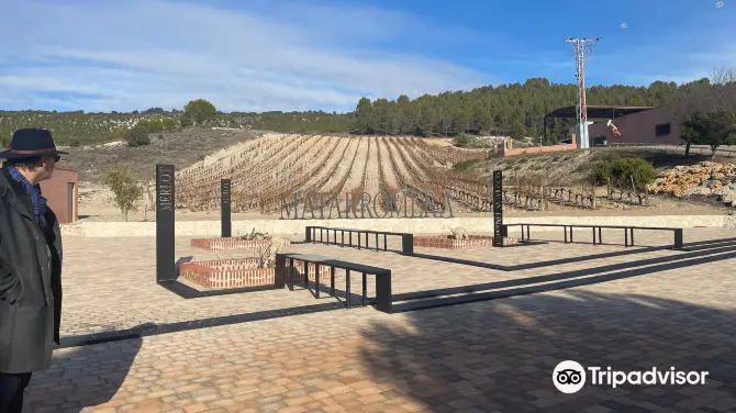 1_Bodega Matarromera