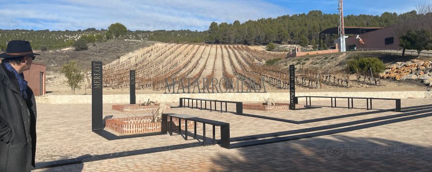 Bodega Matarromera