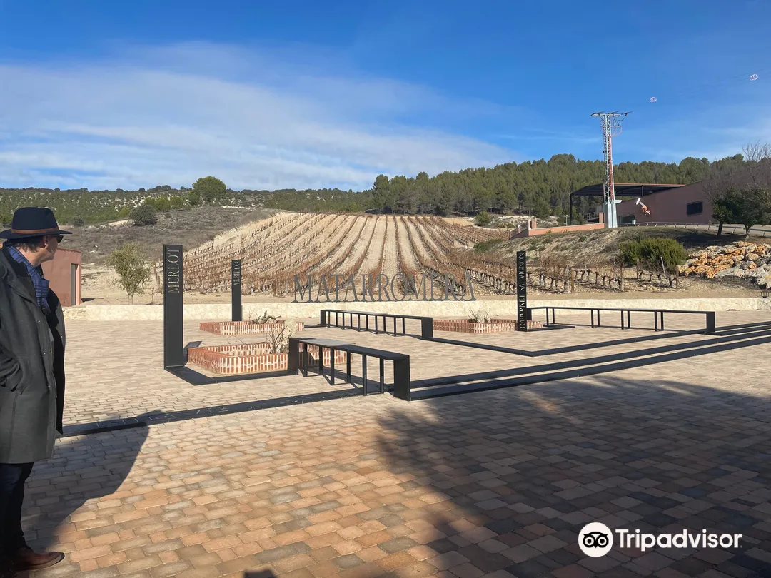 1_Bodega Matarromera