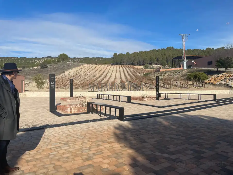 1_Bodega Matarromera