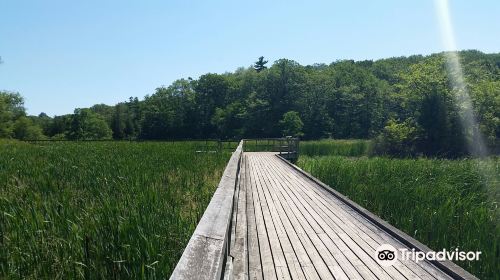 Royal Botanical Gardens - Hendrie Valley Sanctuary (Cherry Hill Gate)