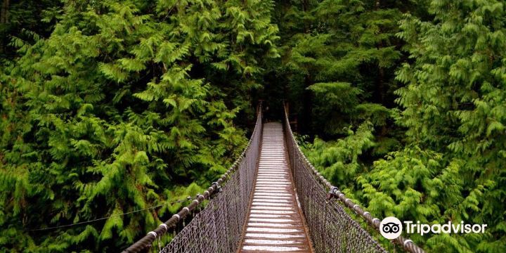 Lynn Canyon Suspension Bridge