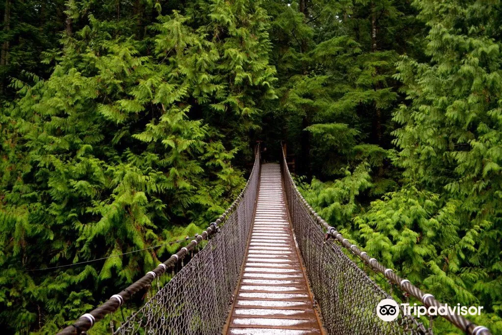 2_Lynn Canyon Suspension Bridge