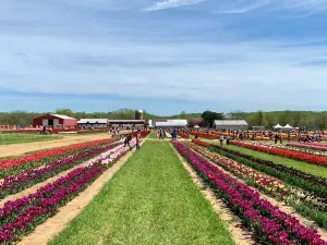 Holland Ridge Farms