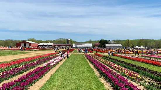 Holland Ridge Farm