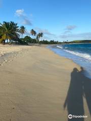 Sun Bay Beach