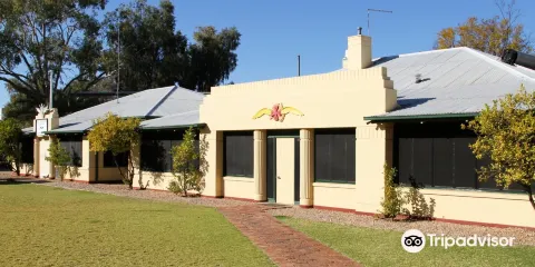 皇家飛行醫生中心