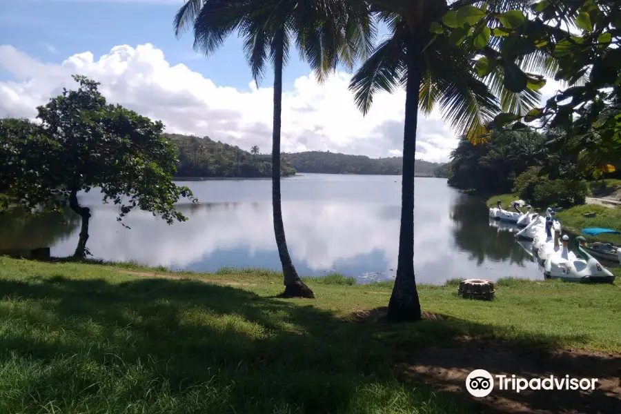 Parque Metropolitano de Pituaçu