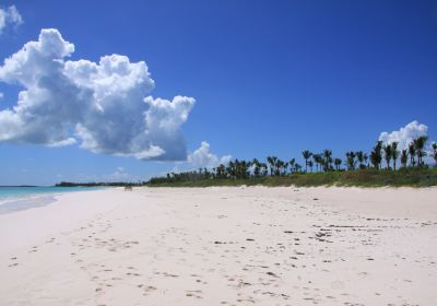 French Leave Beach