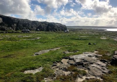 Burren Exposure