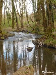 Cannop Ponds