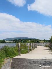 Acres Lake Floating Boardwalk