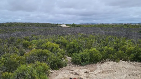 Kangaroo Island Outdoor Action