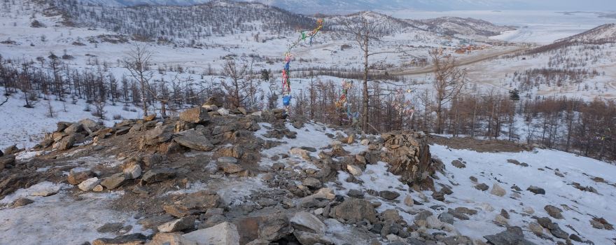 Сахюрта