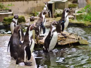 Birdland Park & Gardens