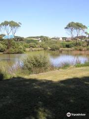 Beachport Lagoon