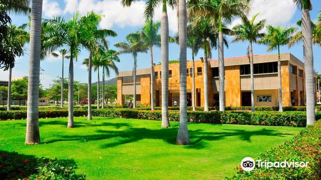 Universidad del Magdalena