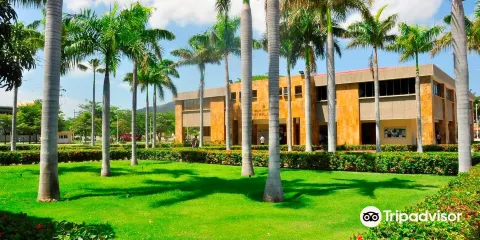 Universidad del Magdalena