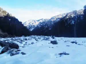 San Bernardino National Forest