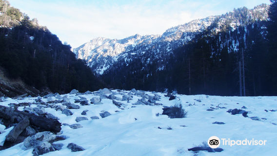 San Bernardino National Forest