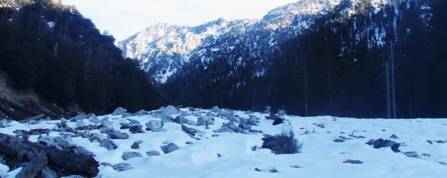 San Bernardino National Forest
