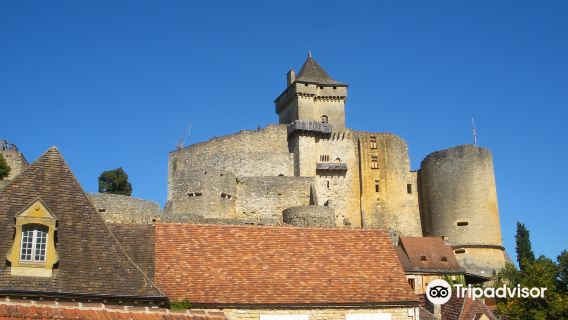 Castelnaud-la-Chapelle Castle