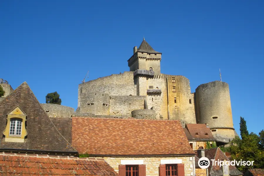 Castelnaud-la-Chapelle Castle