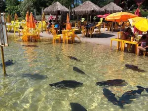 Lagoa dos Tambaquis