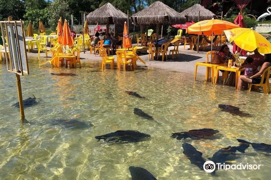 Lagoa dos Tambaquis