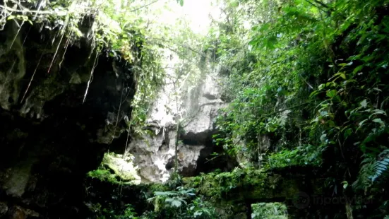 Cueva de Palestina