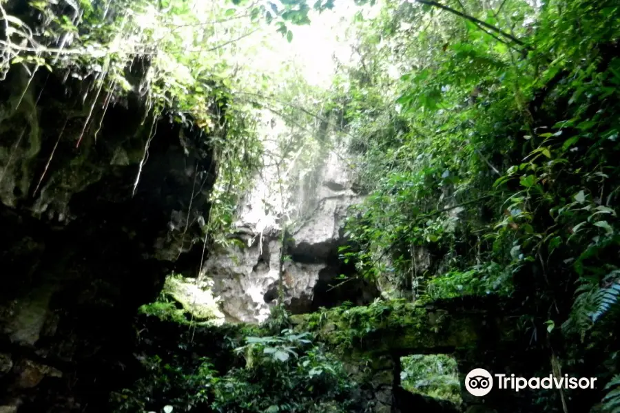 Cueva de Palestina