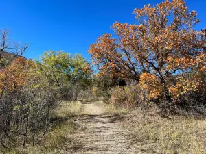 Sugarite Canyon State Park