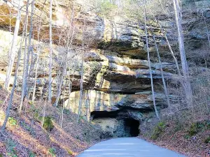 Daniel Boone National Forest